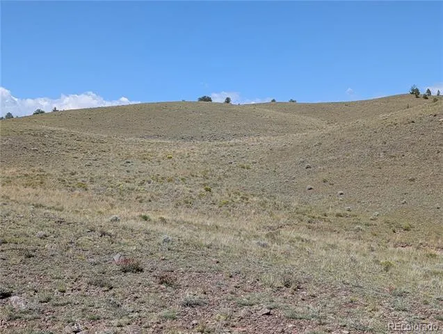 0 Cherokee Trail Hartsel, CO 80449