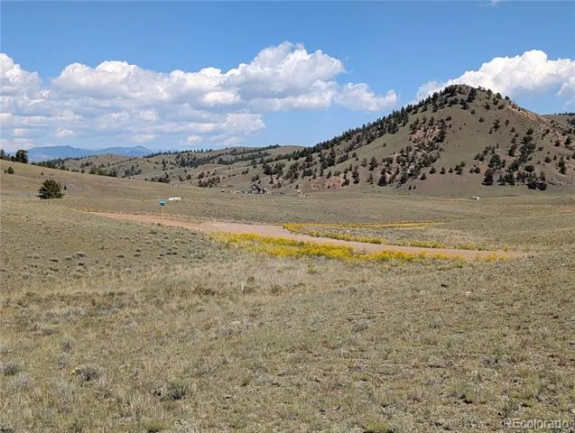 0 Cherokee Trail Hartsel, CO 80449