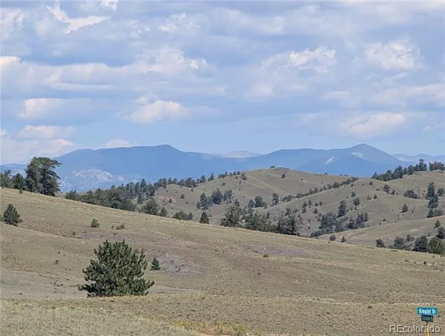 0 Cherokee Trail Hartsel, CO 80449