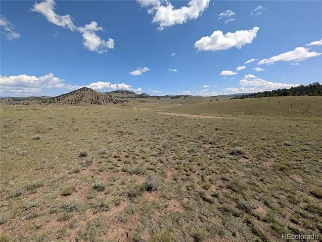 0 Cherokee Trail Hartsel, CO 80449