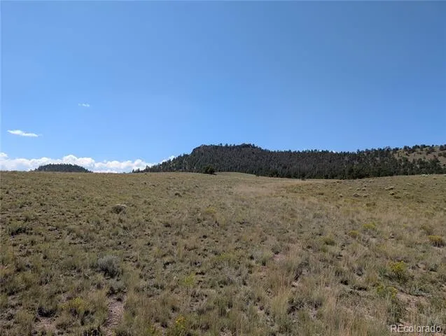 0 Cherokee Trail Hartsel, CO 80449