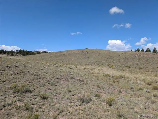 0 Cherokee Trail Hartsel, CO 80449