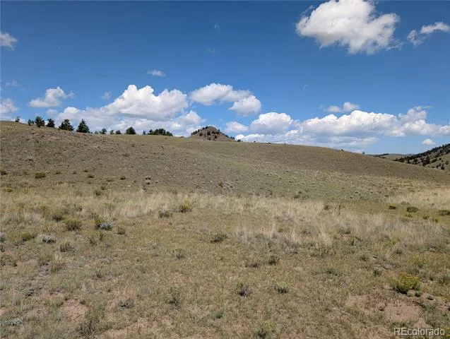 0 Cherokee Trail Hartsel, CO 80449