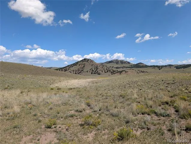 0 Cherokee Trail Hartsel, CO 80449