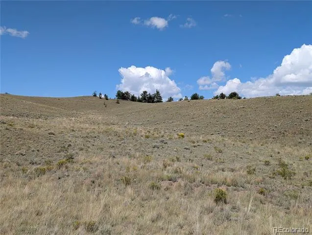 0 Cherokee Trail Hartsel, CO 80449