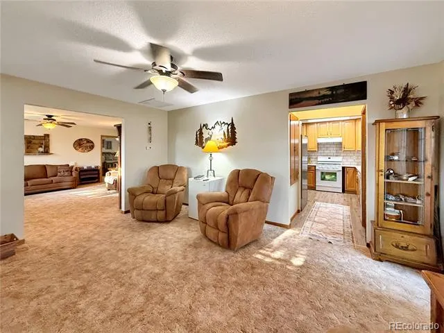 528 Julian Avenue Flagler, CO 80815