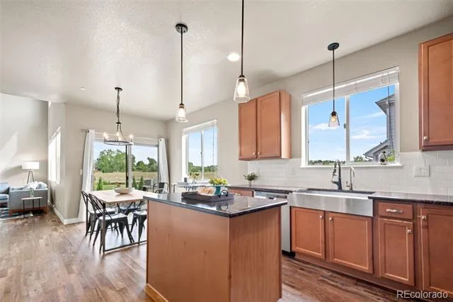 23300 York Avenue Parker, CO 80138