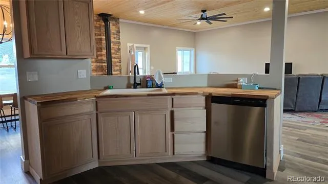 21515 Camino Tio Irving Street Fort Garland, CO 81133