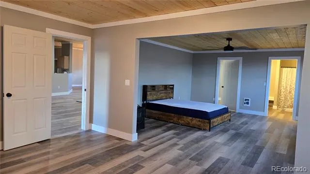 21515 Camino Tio Irving Street Fort Garland, CO 81133