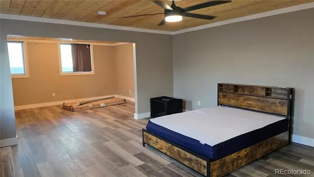 21515 Camino Tio Irving Street Fort Garland, CO 81133