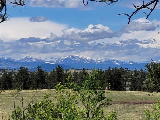 1080 Brahma Circle Hartsel, CO 80449