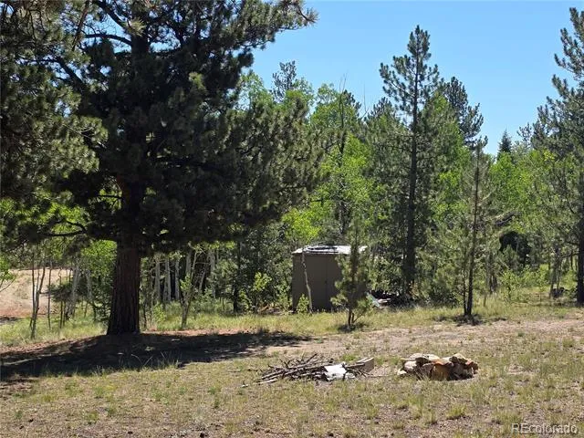 1080 Brahma Circle Hartsel, CO 80449