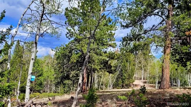 1080 Brahma Circle Hartsel, CO 80449
