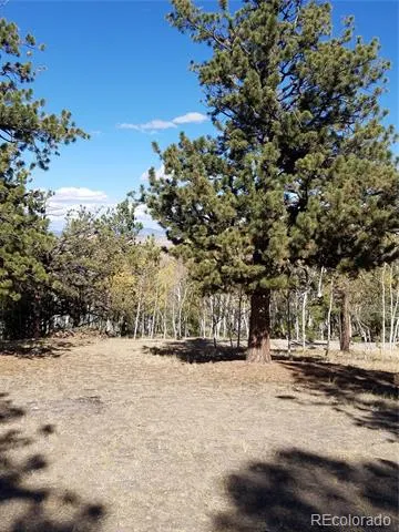 1080 Brahma Circle Hartsel, CO 80449