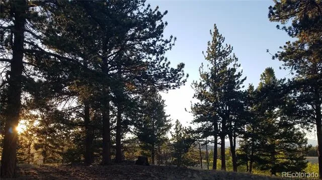 1080 Brahma Circle Hartsel, CO 80449