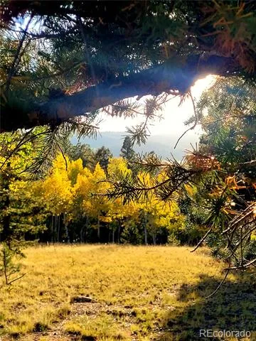 1080 Brahma Circle Hartsel, CO 80449