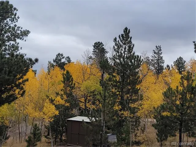 1080 Brahma Circle Hartsel, CO 80449