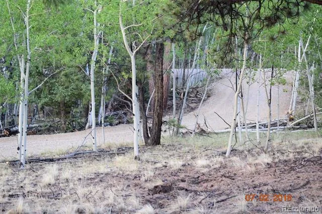 1080 Brahma Circle Hartsel, CO 80449