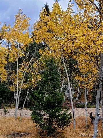 1080 Brahma Circle Hartsel, CO 80449