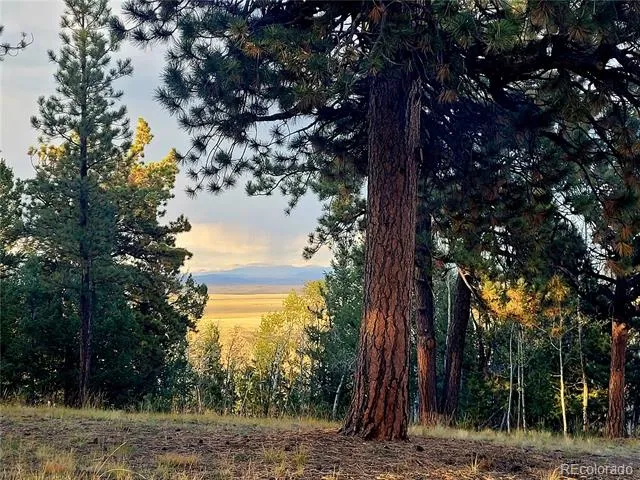 1080 Brahma Circle Hartsel, CO 80449