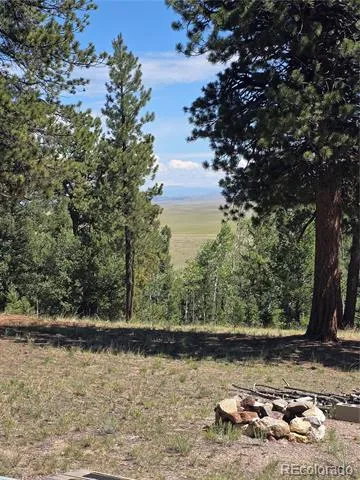 1080 Brahma Circle Hartsel, CO 80449