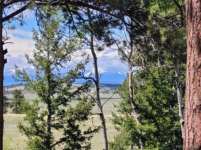 1080 Brahma Circle Hartsel, CO 80449