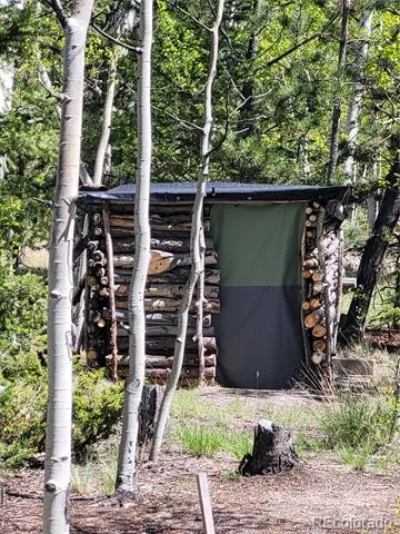 1080 Brahma Circle Hartsel, CO 80449