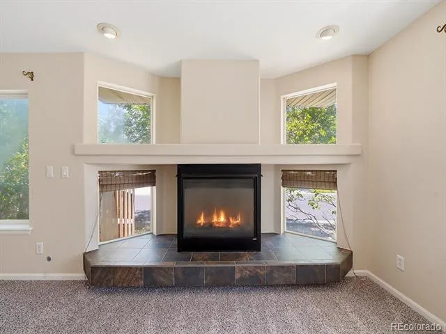 15395 E 117th Place Commerce City, CO 80022