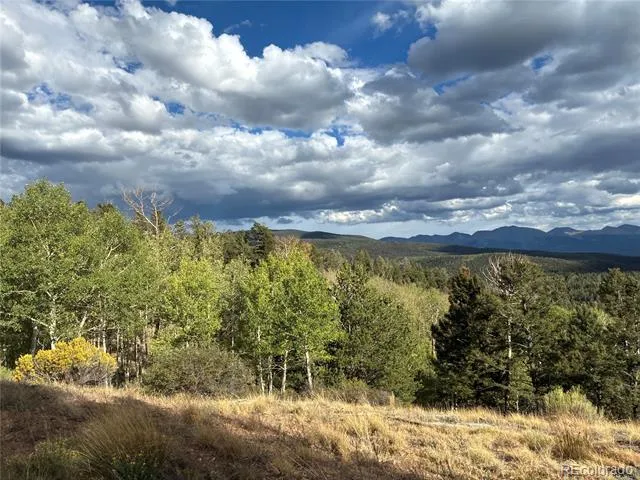 LOT 5597 Nettler Road San Luis, CO 81152