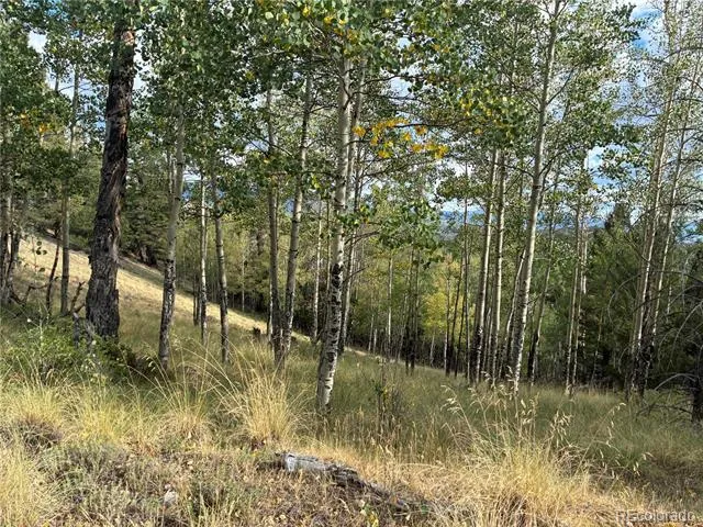LOT 5597 Nettler Road San Luis, CO 81152