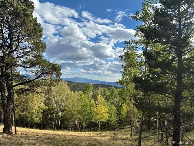 LOT 5597 Nettler Road San Luis, CO 81152