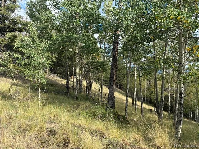 LOT 5597 Nettler Road San Luis, CO 81152