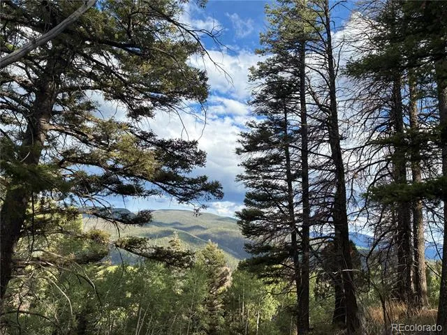 LOT 5597 Nettler Road San Luis, CO 81152