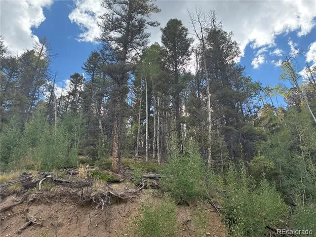 LOT 5597 Nettler Road San Luis, CO 81152