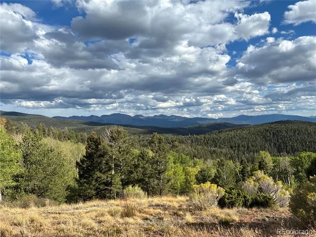 LOT 5597 Nettler Road San Luis, CO 81152