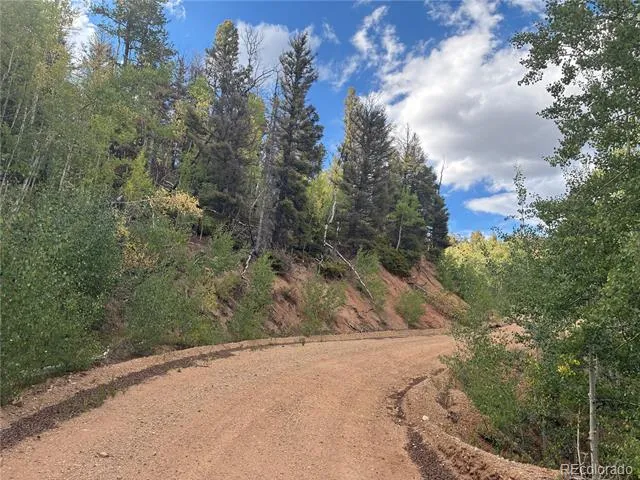 LOT 5597 Nettler Road San Luis, CO 81152