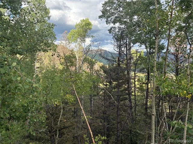 LOT 5597 Nettler Road San Luis, CO 81152