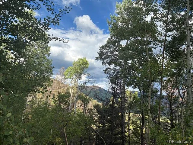LOT 5597 Nettler Road San Luis, CO 81152
