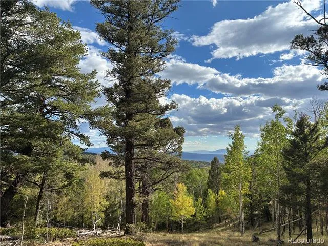 LOT 5597 Nettler Road San Luis, CO 81152