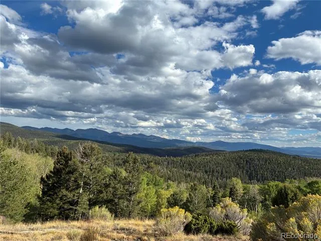 LOT 5597 Nettler Road San Luis, CO 81152