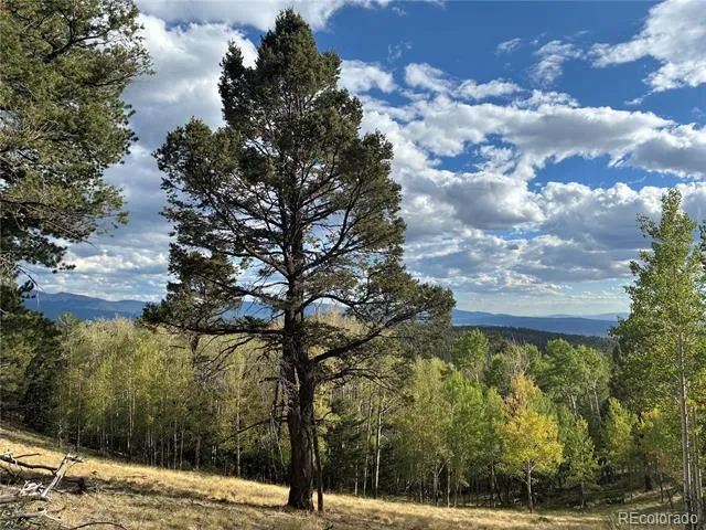 LOT 5597 Nettler Road San Luis, CO 81152