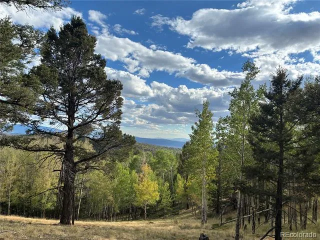 LOT 5597 Nettler Road San Luis, CO 81152