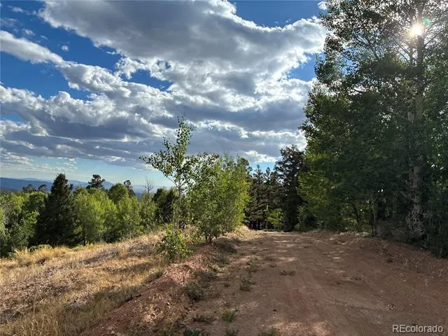 LOT 5597 Nettler Road San Luis, CO 81152