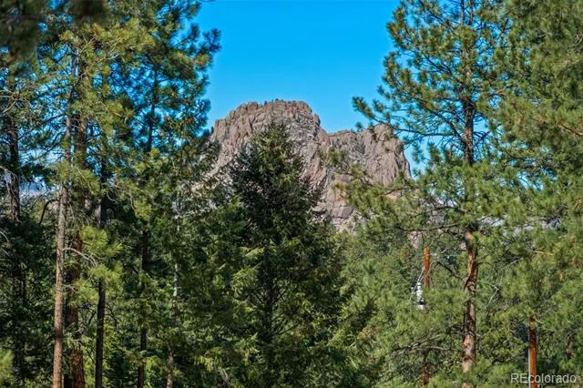 20202 Spring Creek Trail Pine, CO 80470
