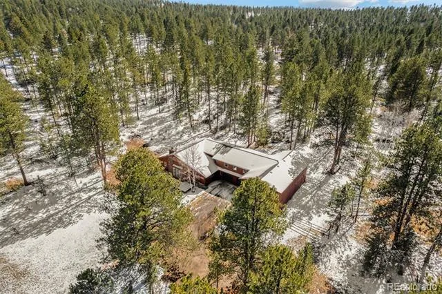 20202 Spring Creek Trail Pine, CO 80470