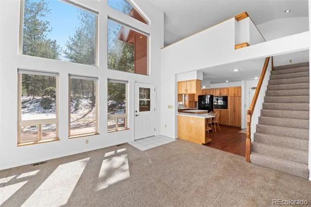 20202 Spring Creek Trail Pine, CO 80470