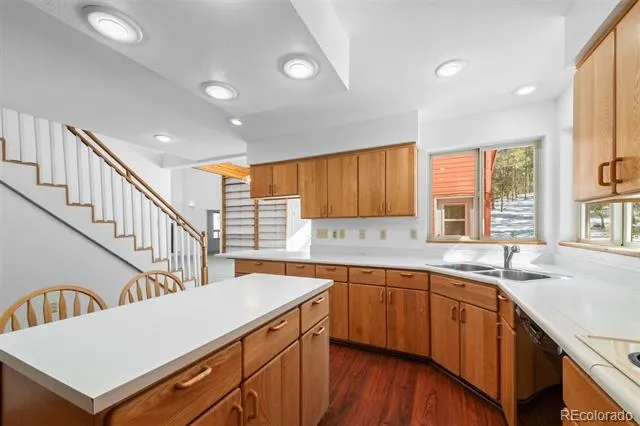 20202 Spring Creek Trail Pine, CO 80470