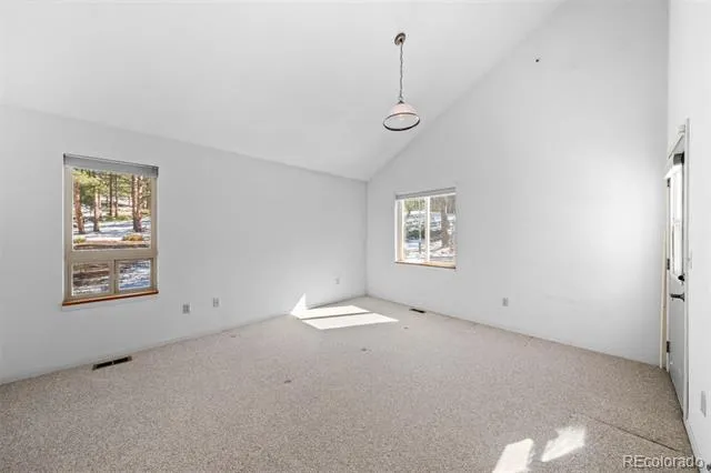 20202 Spring Creek Trail Pine, CO 80470