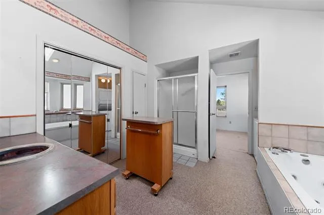 20202 Spring Creek Trail Pine, CO 80470