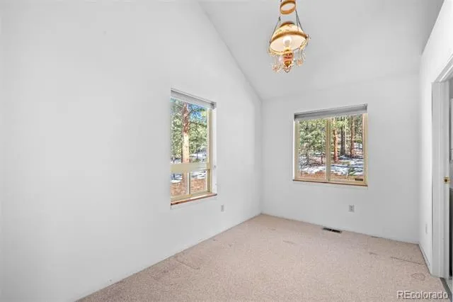 20202 Spring Creek Trail Pine, CO 80470